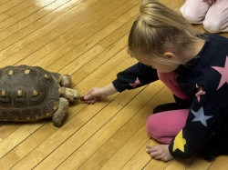Reptile20Show20Pittsburgh20PA204 1741118413 Exotic Animal Show (Birds, Reptiles, and Small Petting Zoo)